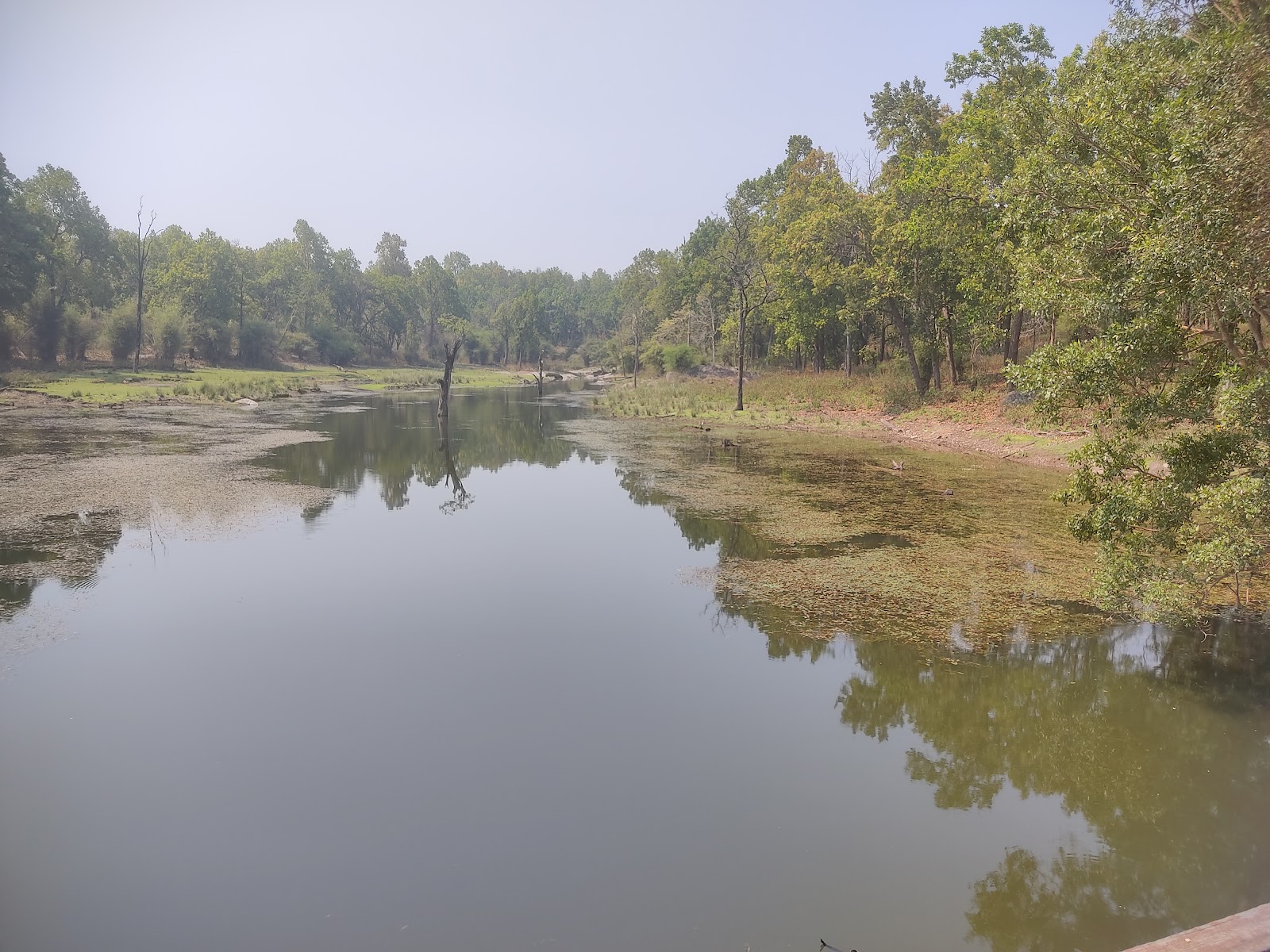 Kanha National Park