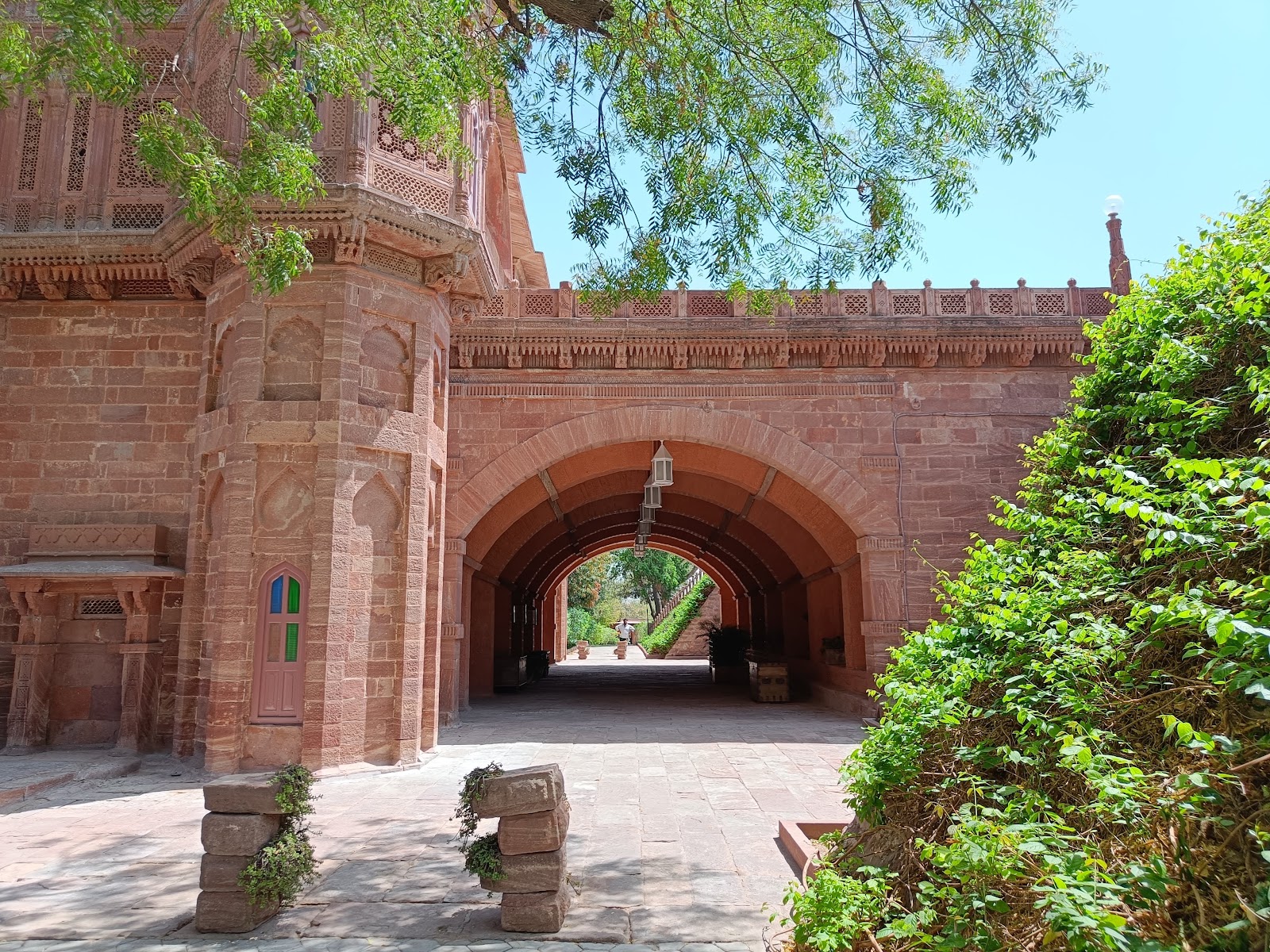 Balsamand Lake and Palace