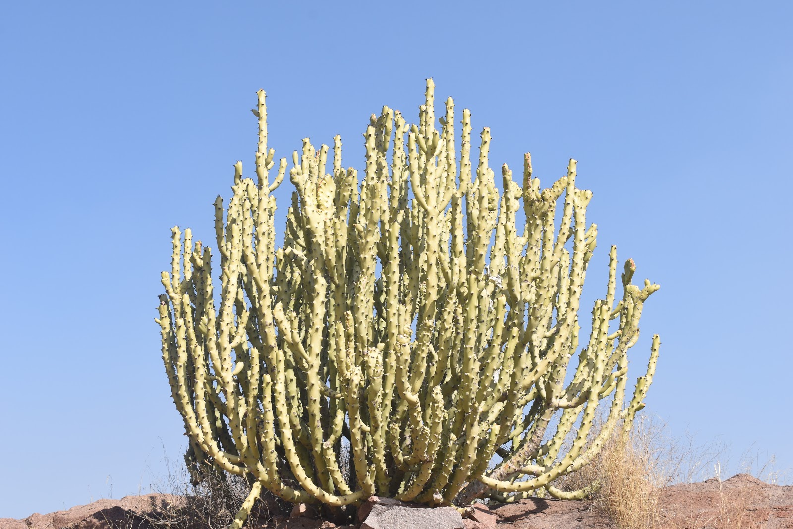 Rao Jodha Desert Rock Park