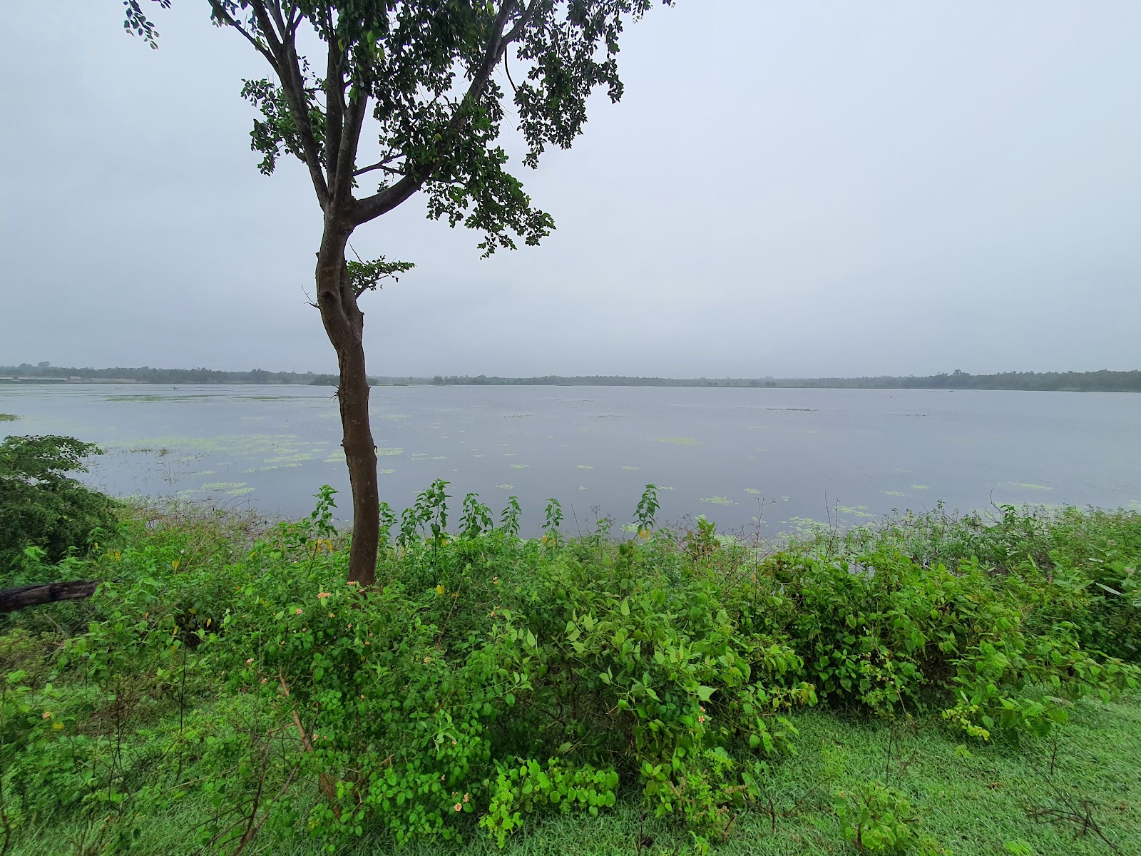 Kokkrebellur Bird Sanctuary