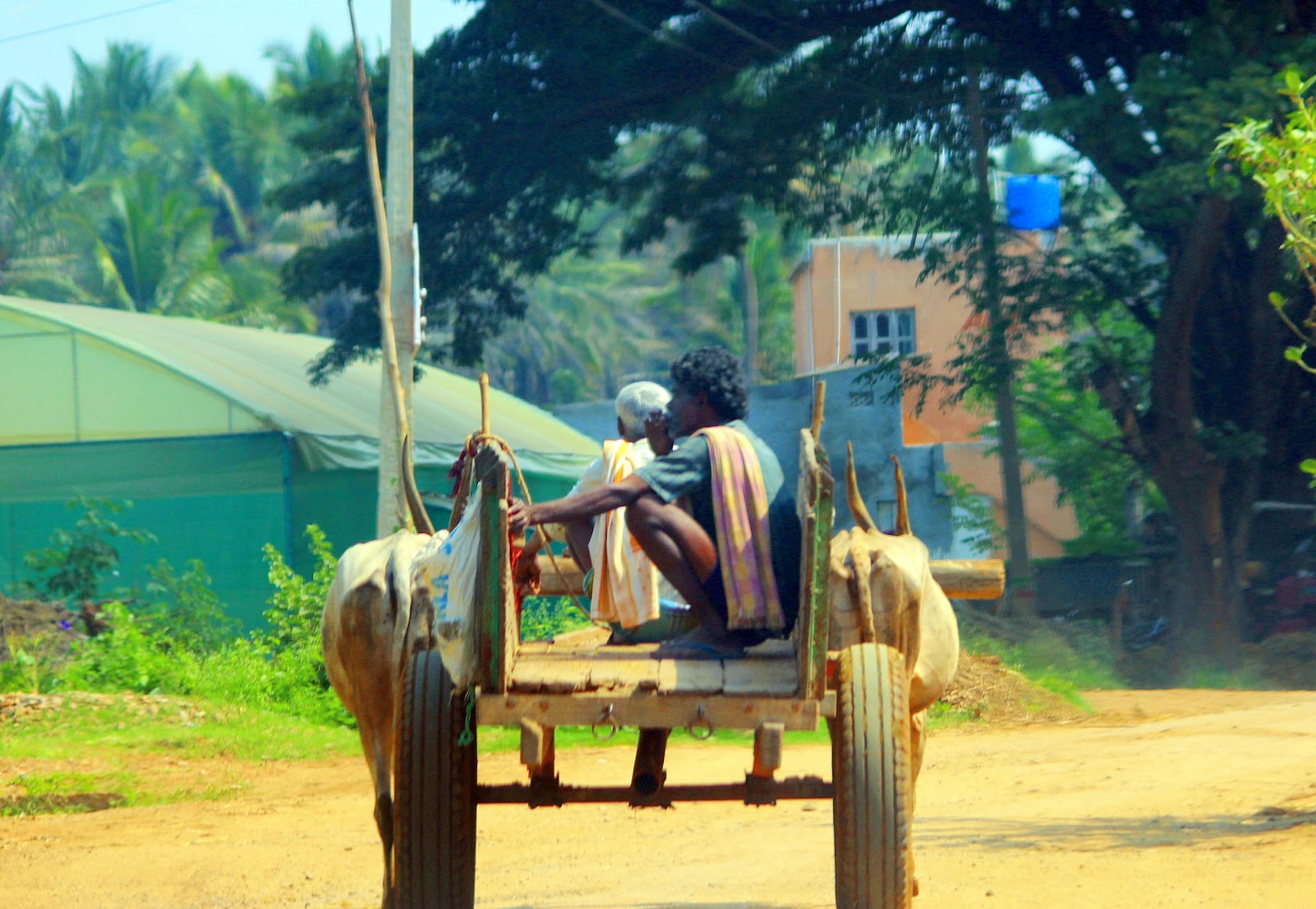 Kokkrebellur Bird Sanctuary