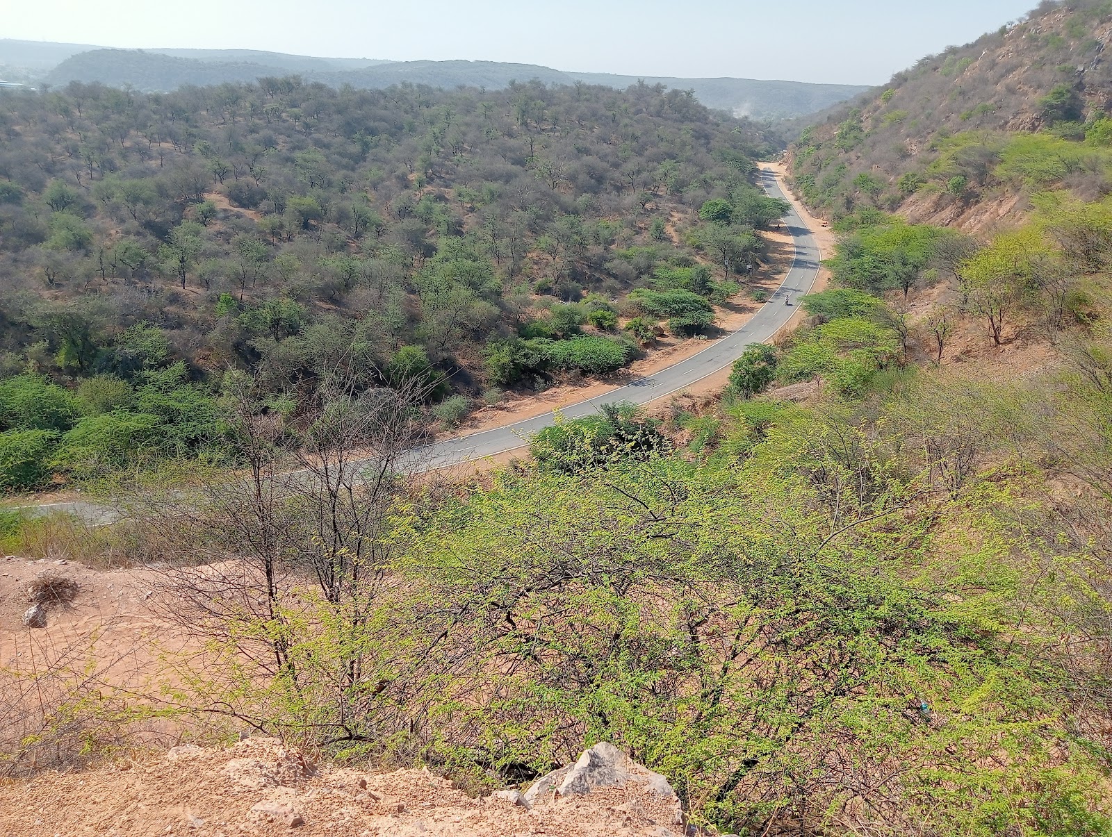 Aravali Hills