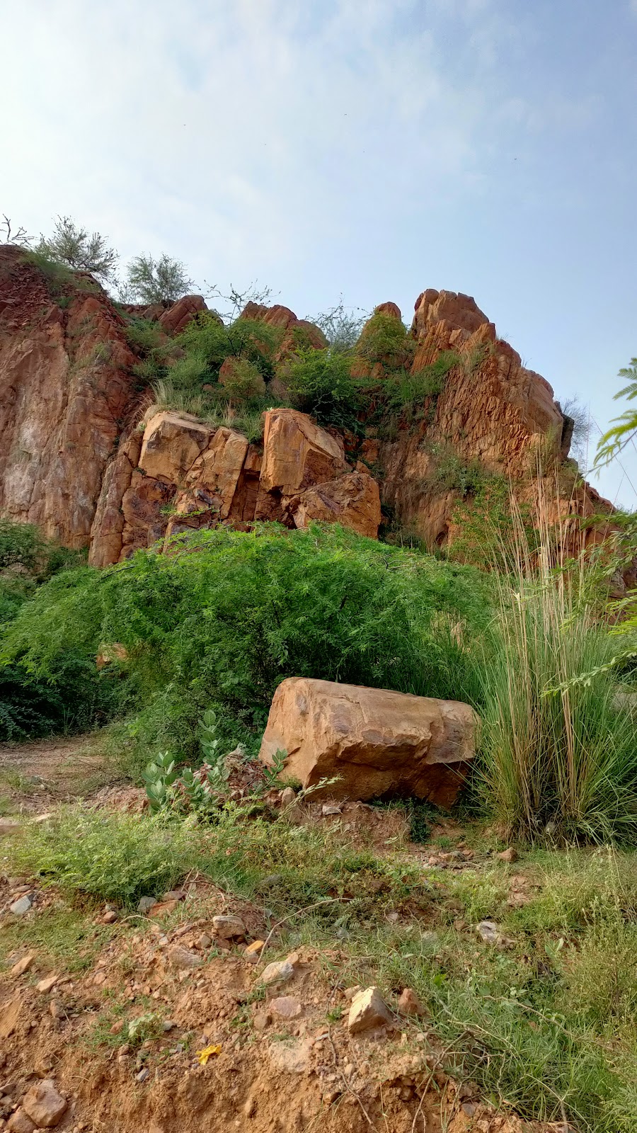 Aravali Hills