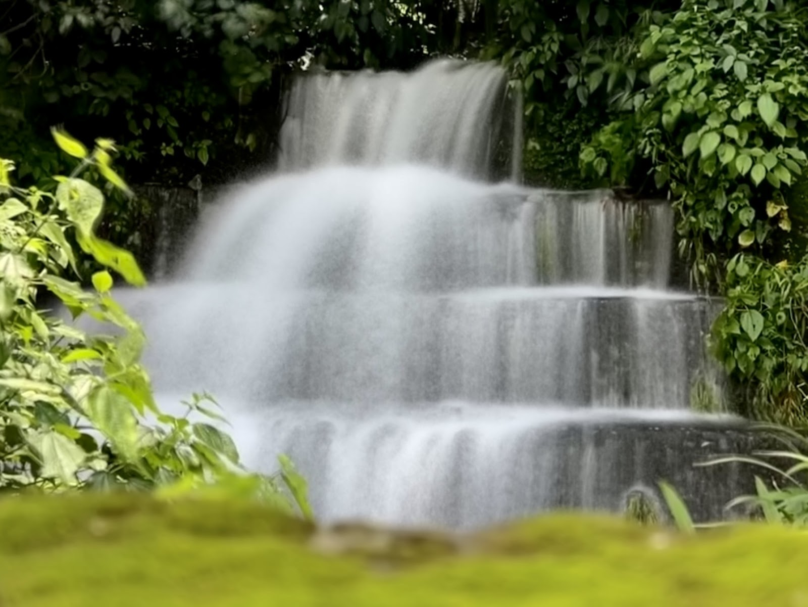 Teesta River Viewpoint