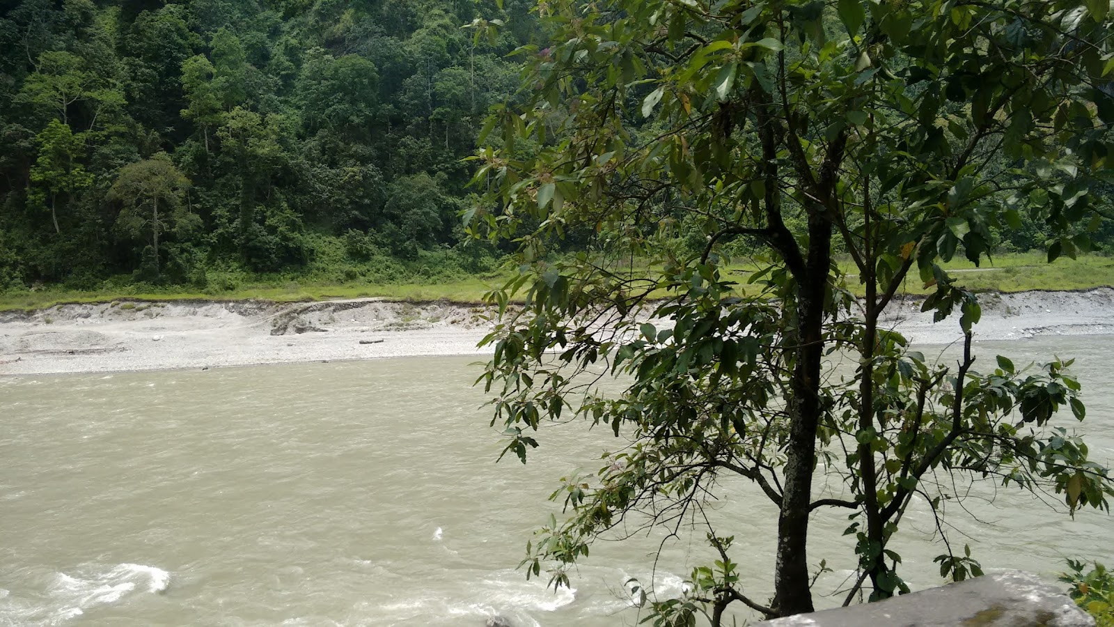 Teesta River Viewpoint