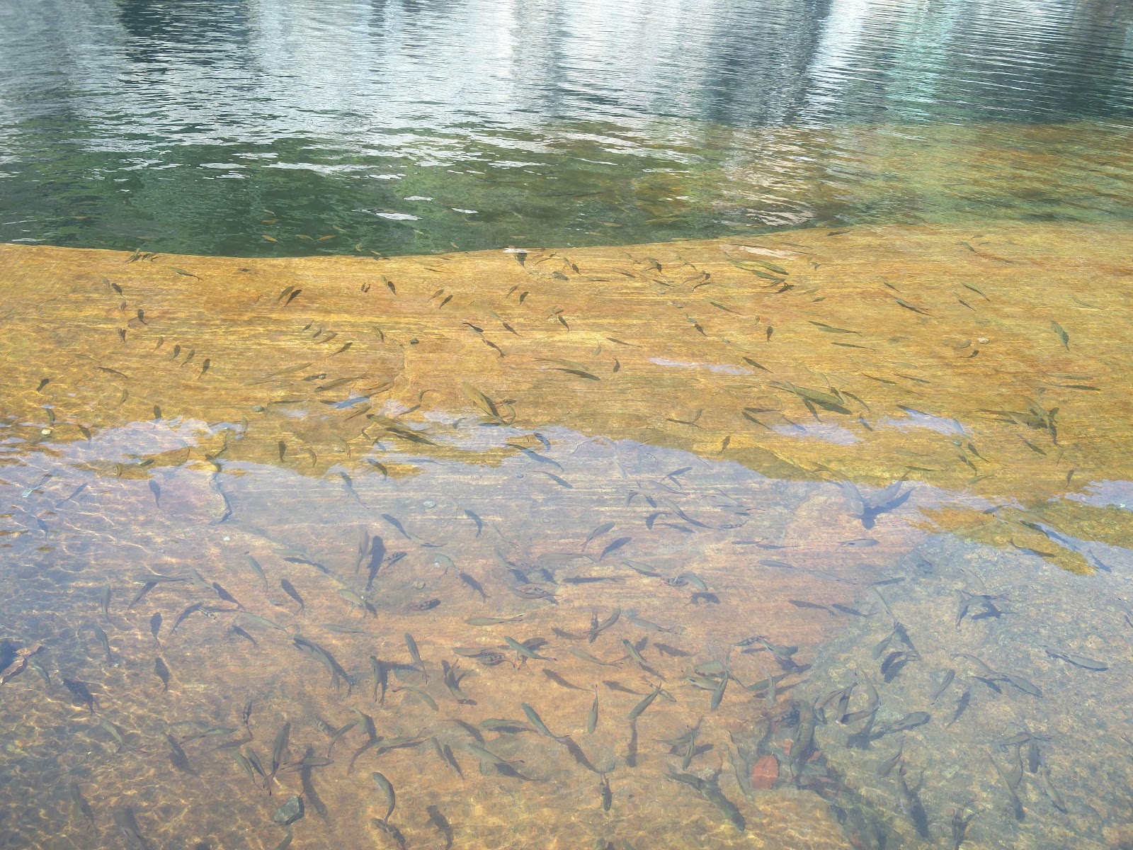 Kuthirakolli Waterfall