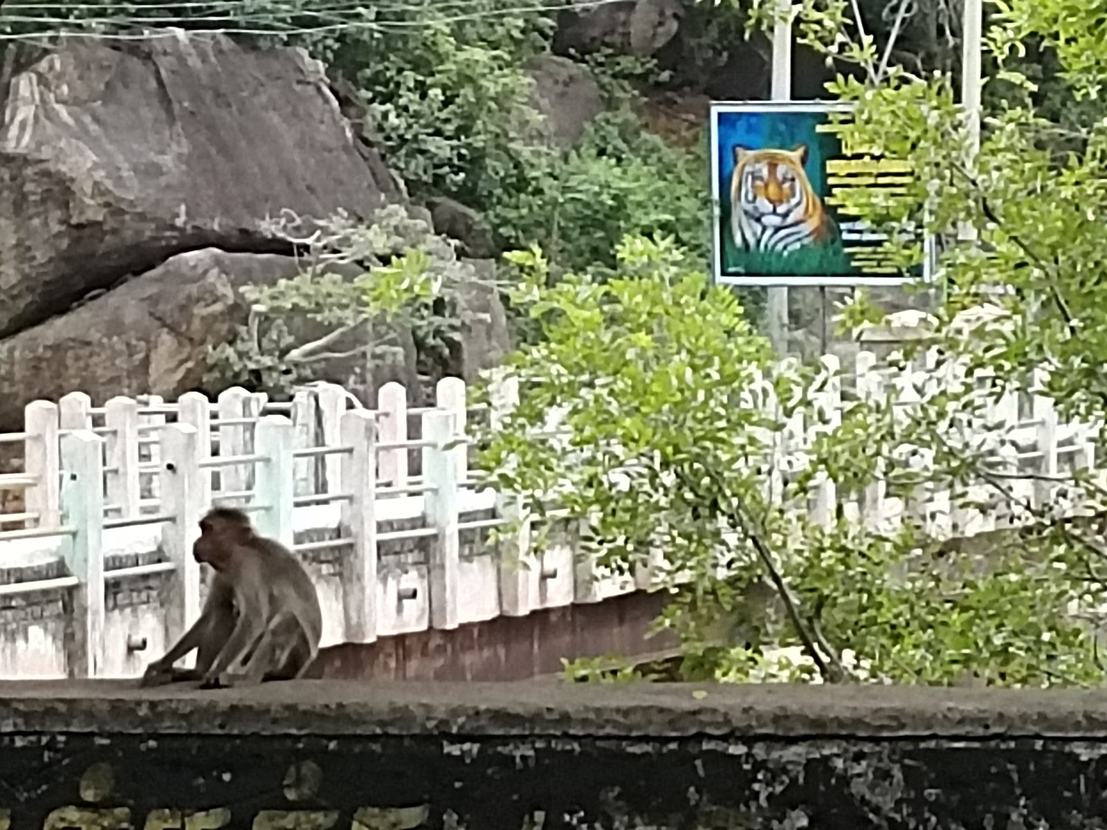 Kuthirakolli Waterfall