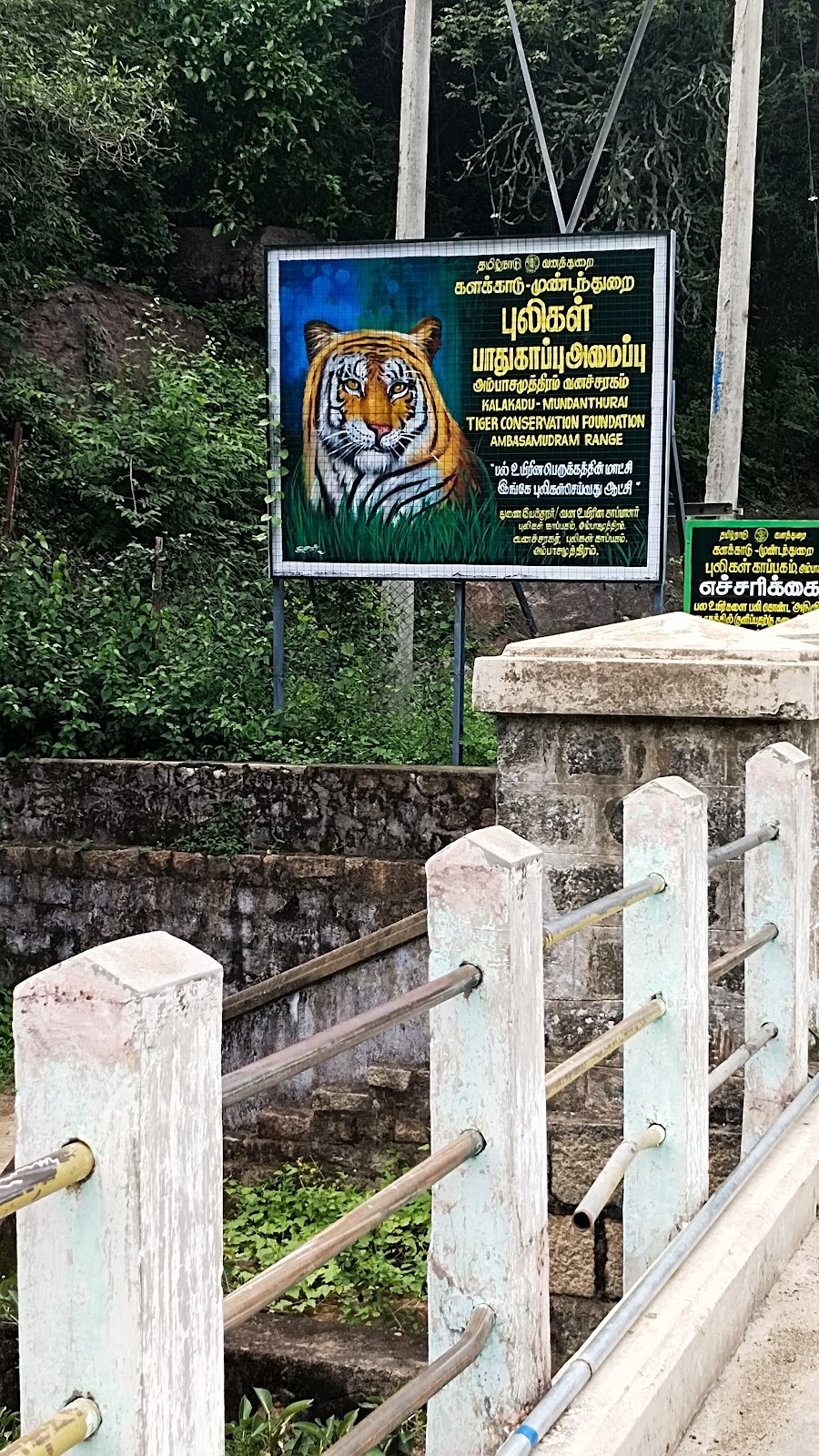 Kuthirakolli Waterfall