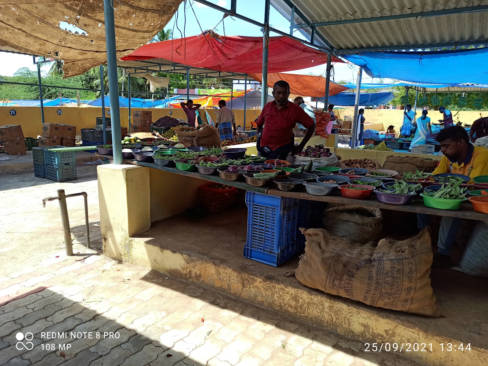 Local Markets