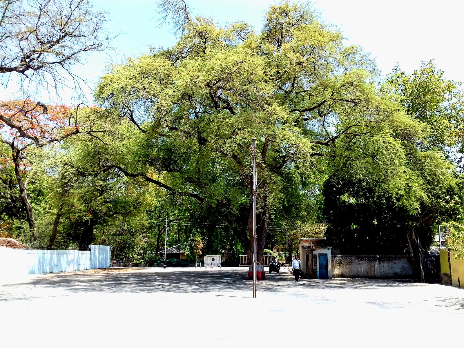 Manmad Railway Junction Viewpoint