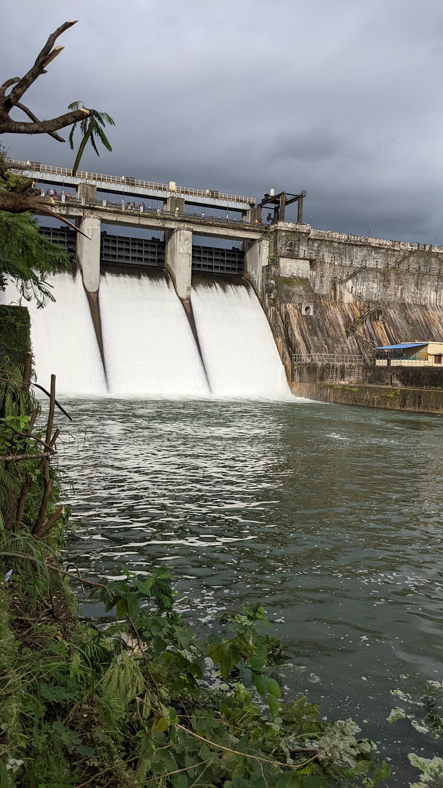 Kanjirapuzha Dam and Garden