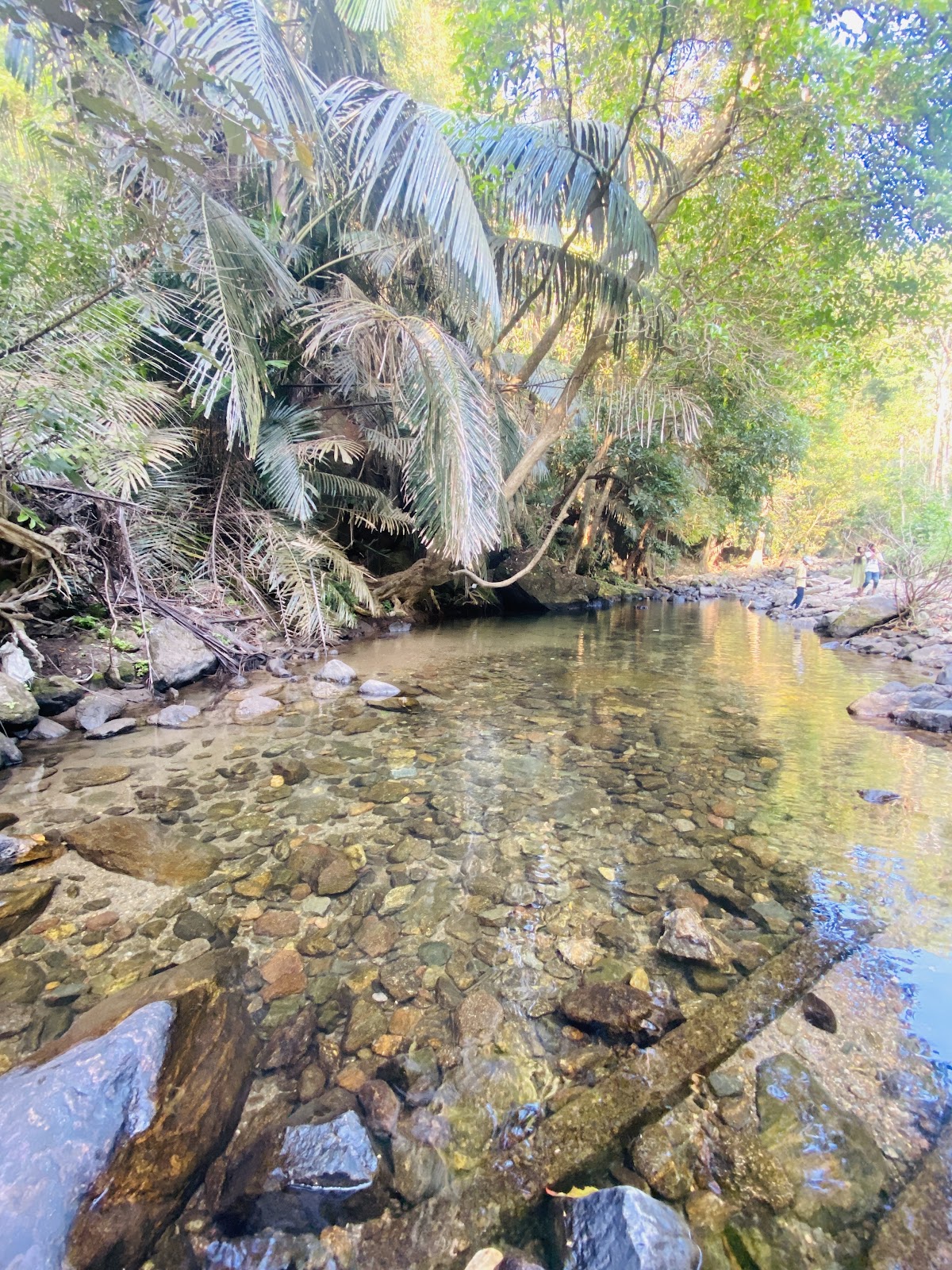 Meenvallam Waterfalls