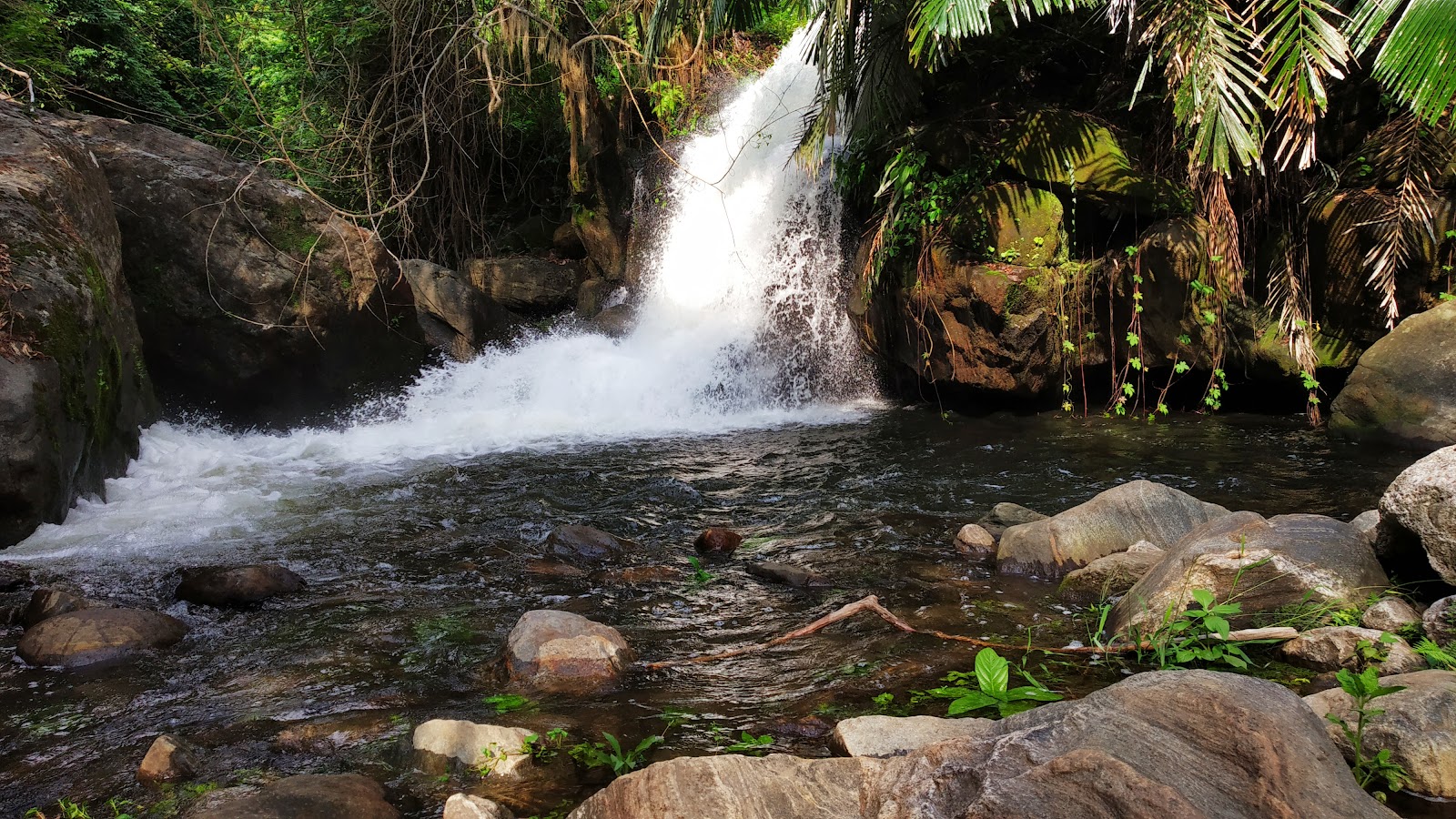 Meenvallam Waterfalls