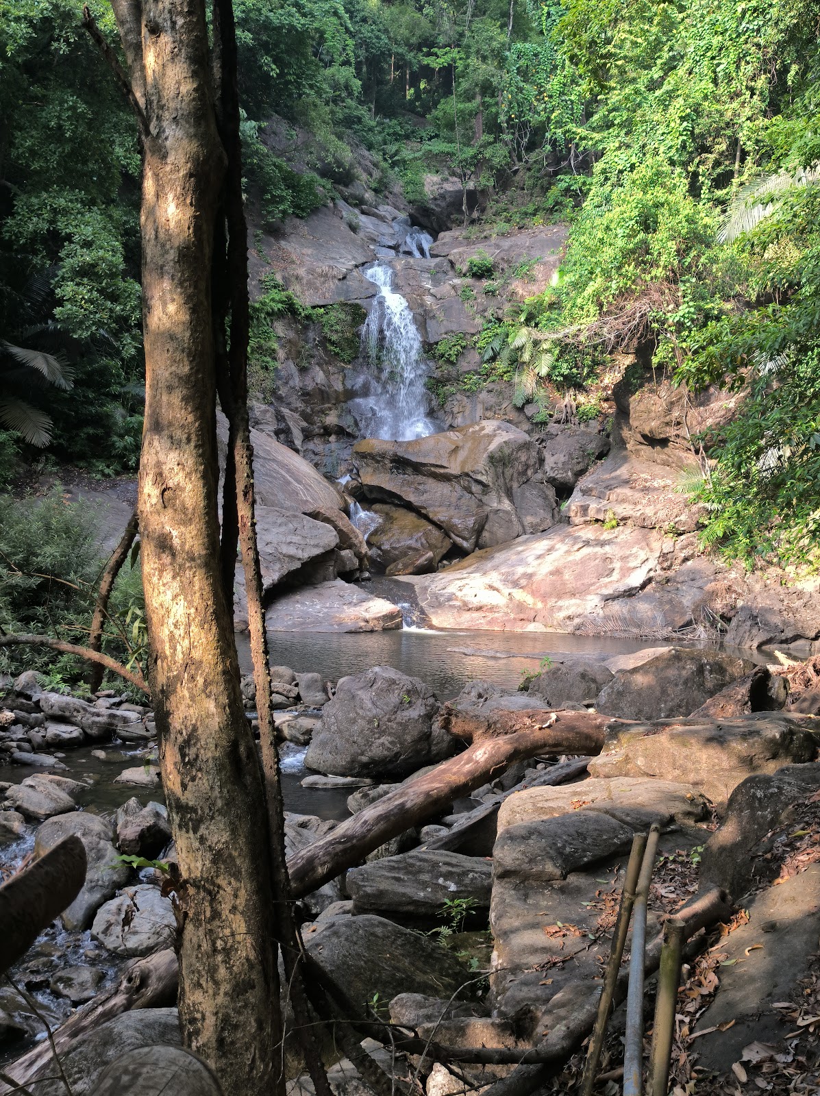 Meenvallam Waterfalls