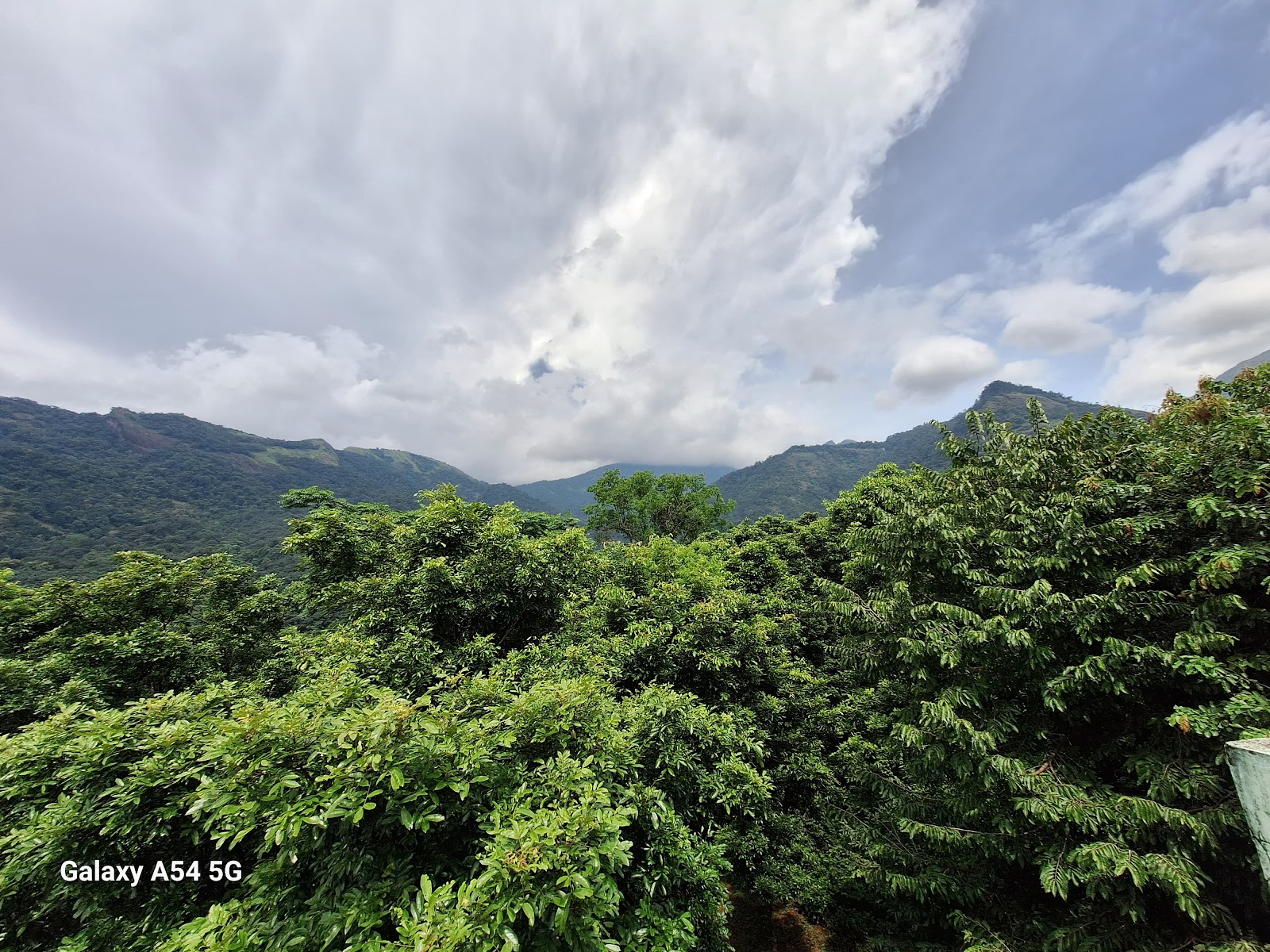Meenvallam Waterfalls