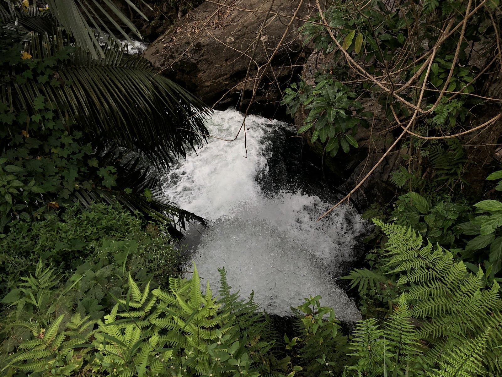Meenvallam Waterfalls
