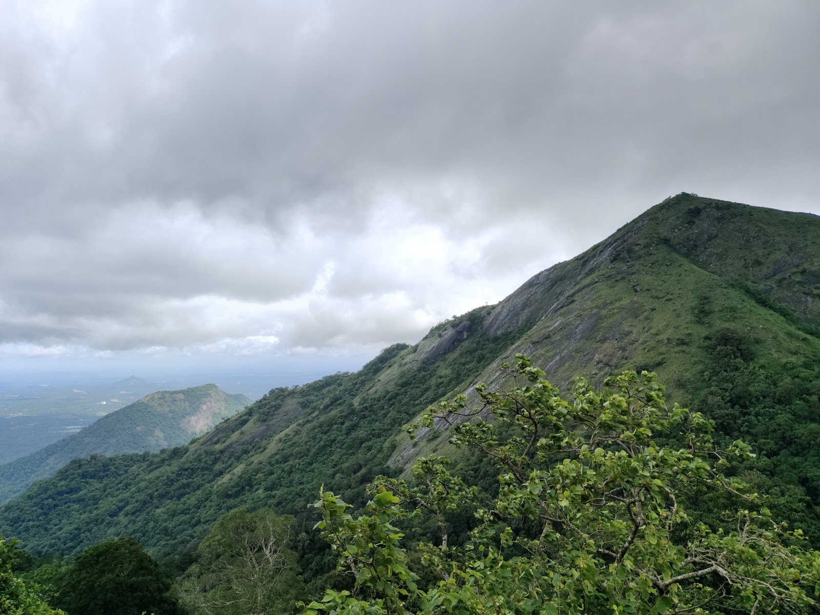 Nelliyampathi Hills