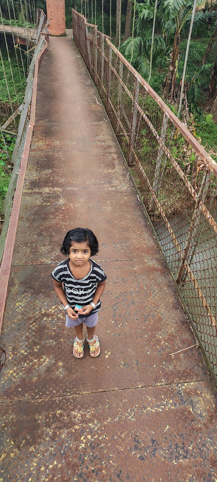 Pathrakadavu Hanging Bridge