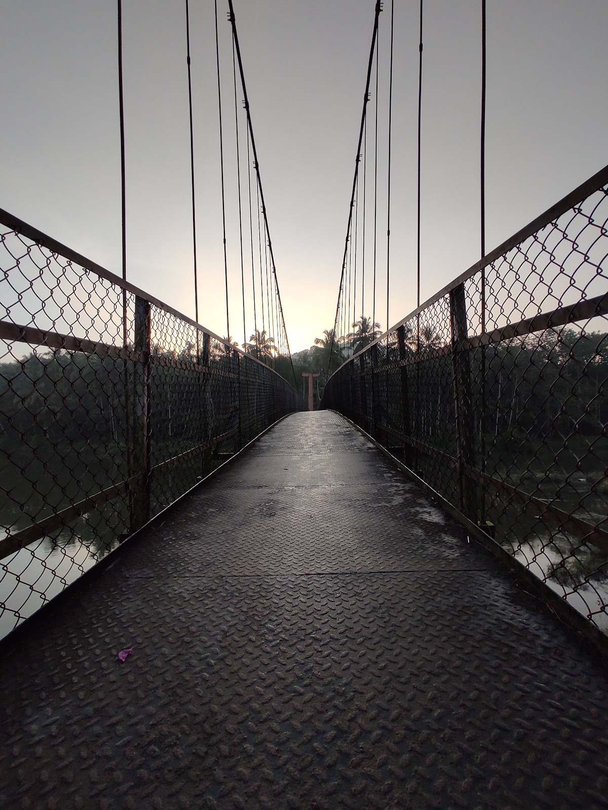 Pathrakadavu Hanging Bridge