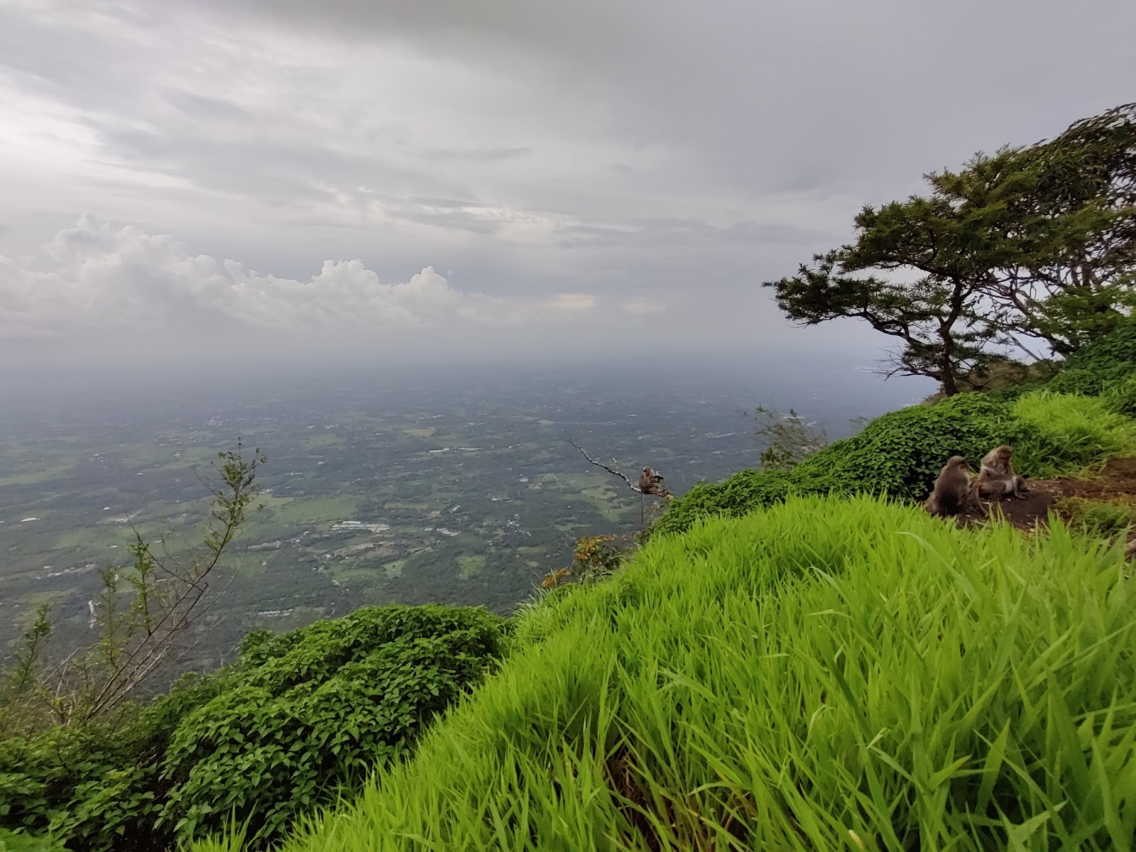 Seethargundu Viewpoint