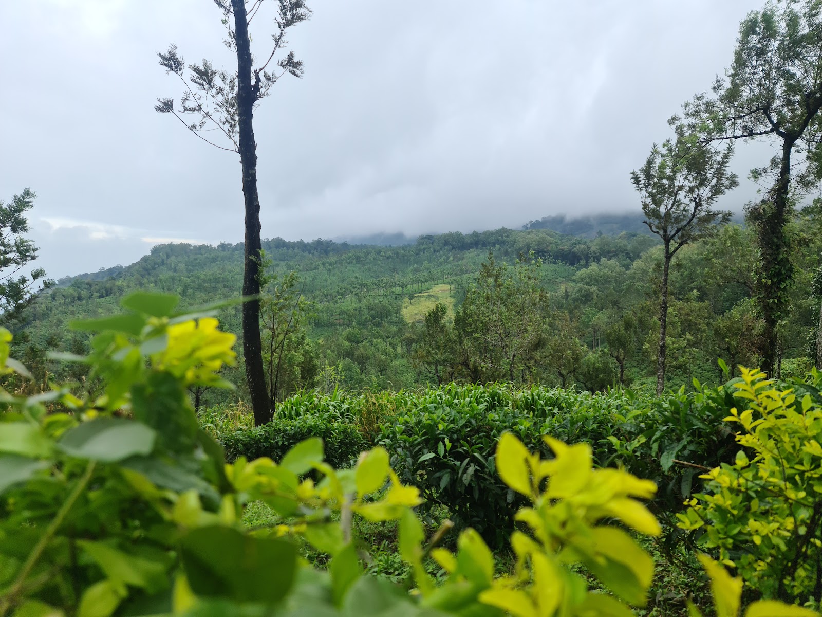 Seethargundu Viewpoint