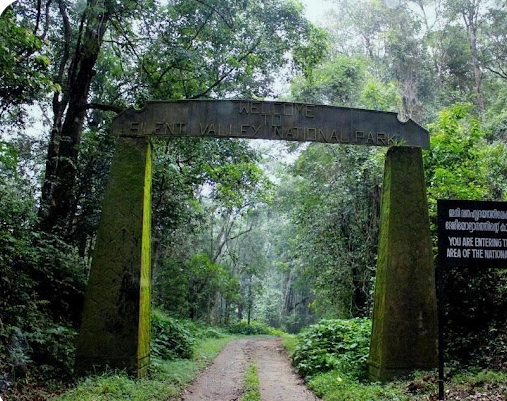 Mannarkkad, Kerala: Travel Guide, History, Culture & Places to Visit