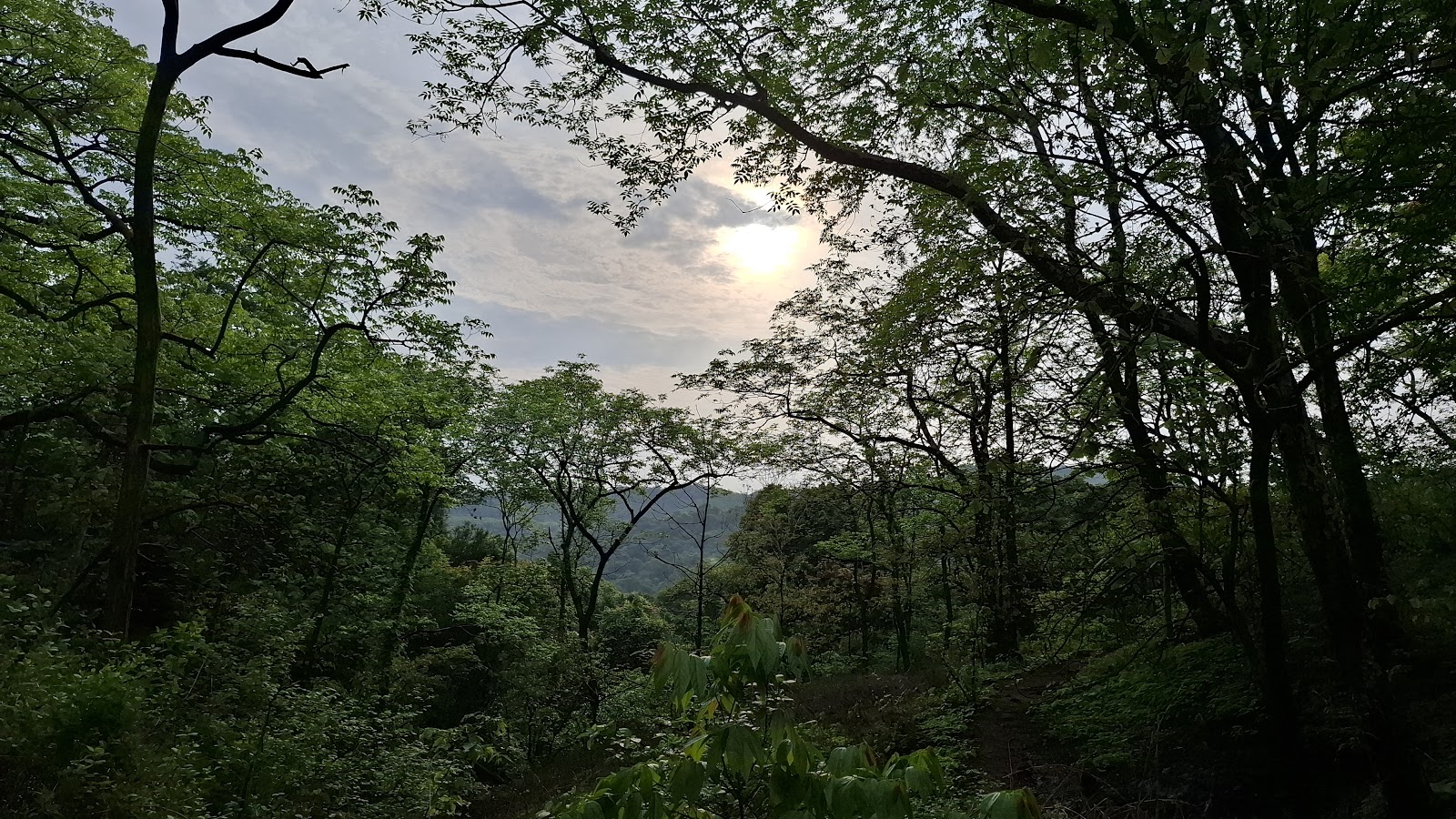 Karnala Bird Sanctuary