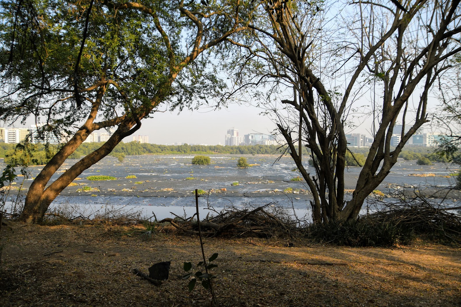 Maharashtra Nature Park