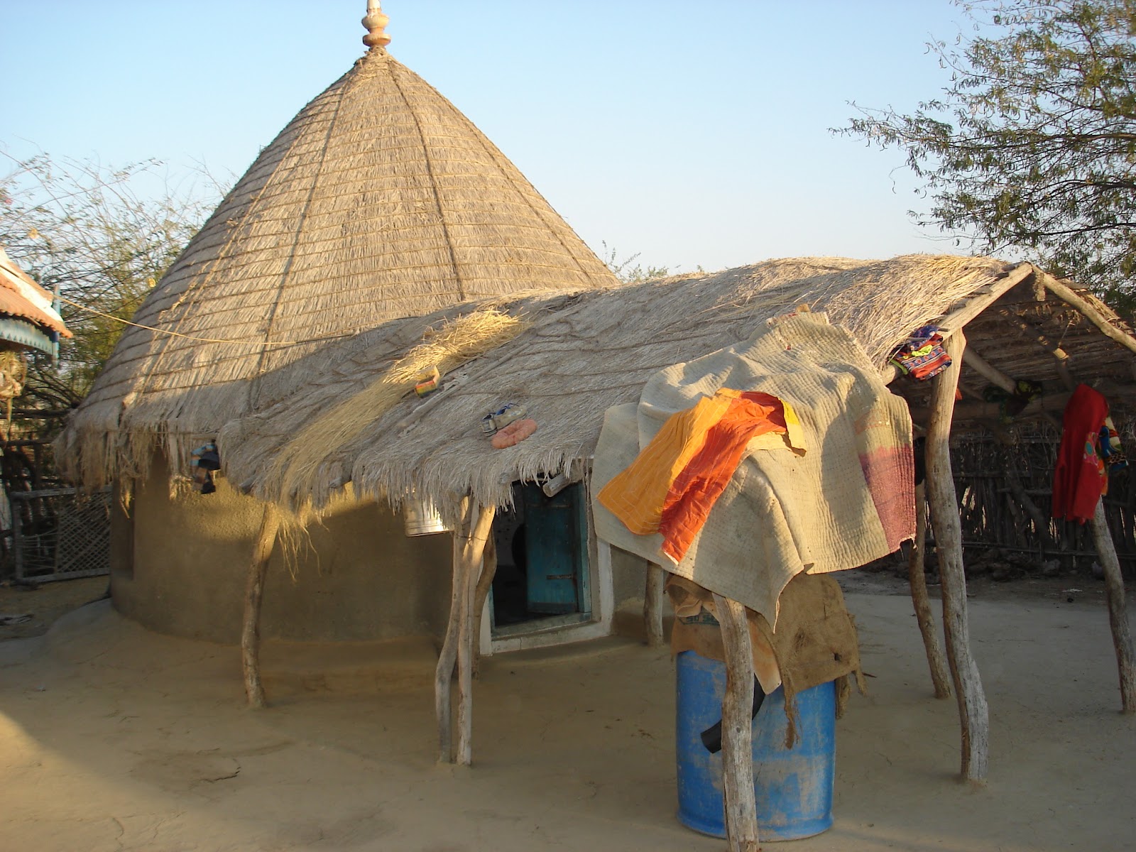 Banni Grasslands Reserve Kutch Gujarat India