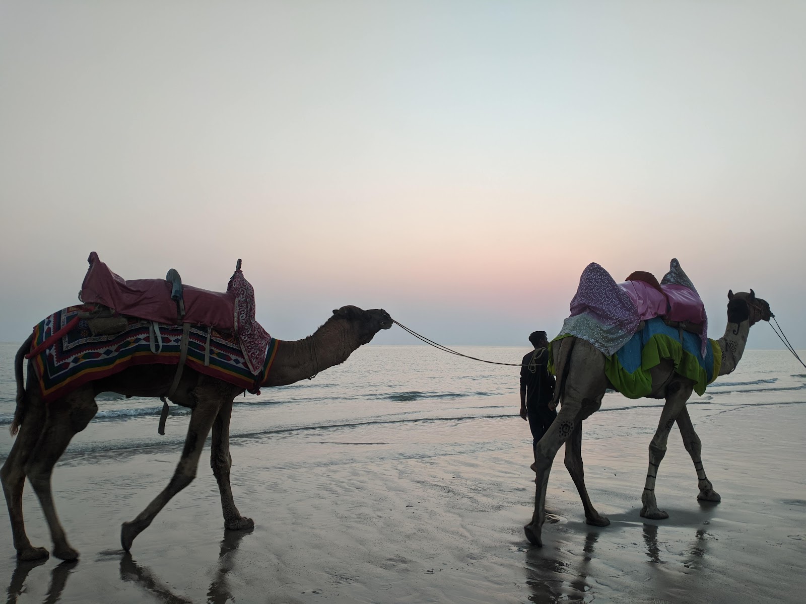 Mandvi Beach Mandvi Gujarat India