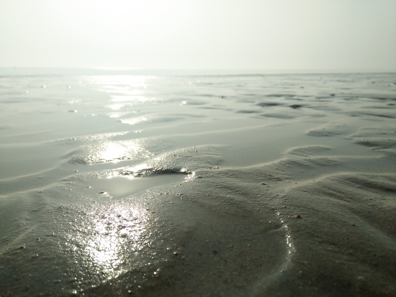 Mandvi Beach Mandvi Gujarat India