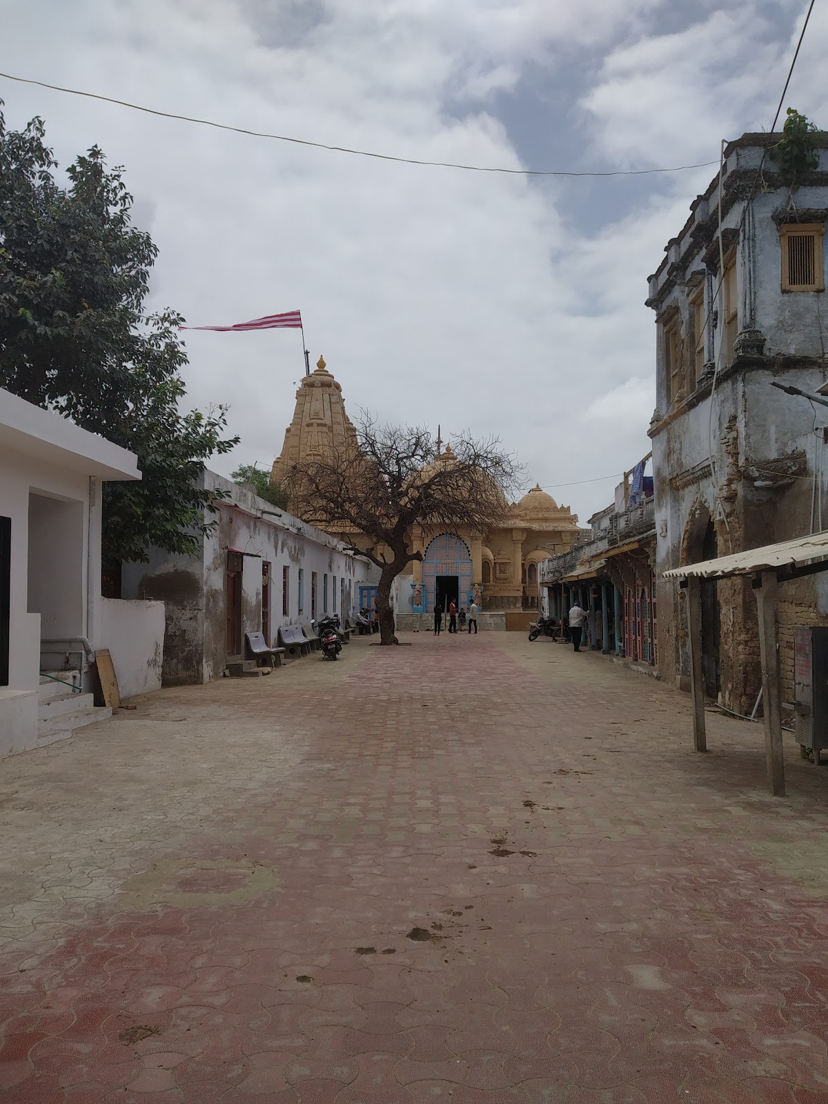 Narayan Sarovar Sanctuary Gujarat India