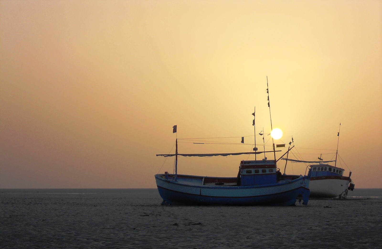Pirotan Island Marine Reserve Gujarat India
