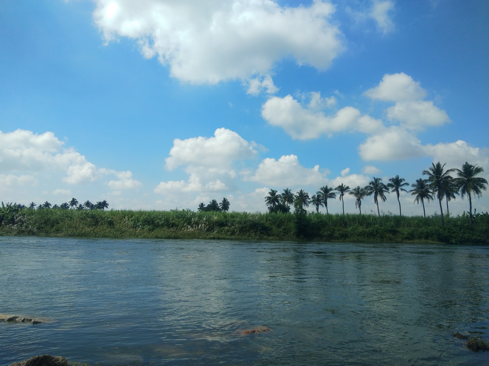 Tungabhadra River