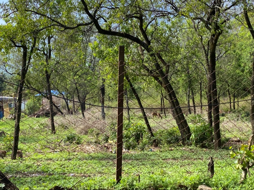 Marayoor - A Hidden Gem in Kerala