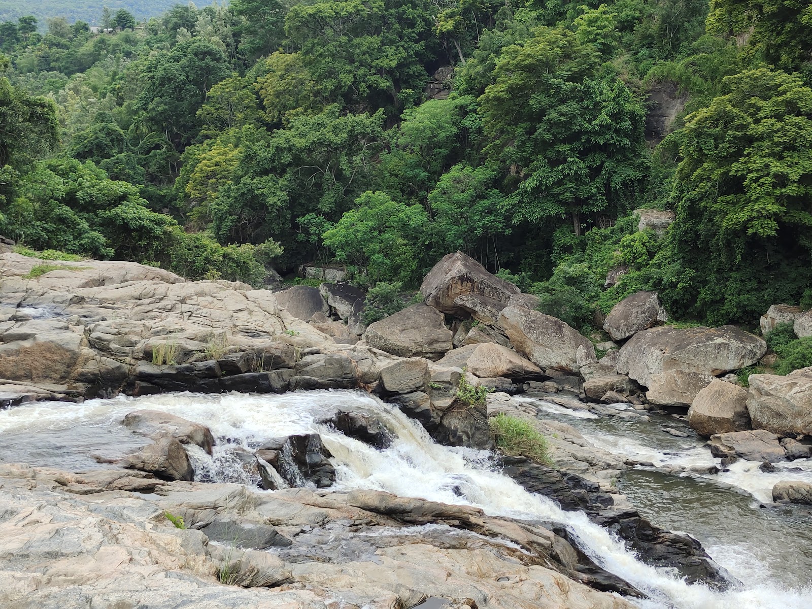 Marayoor Sandalwood Forest