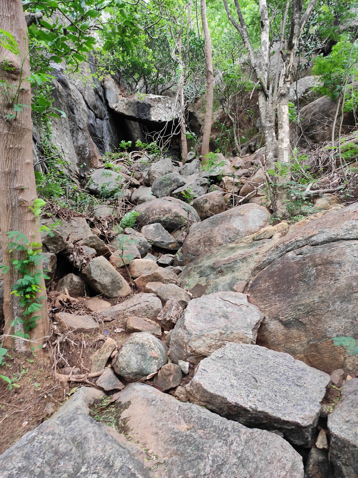 Valley Overlook Terrace