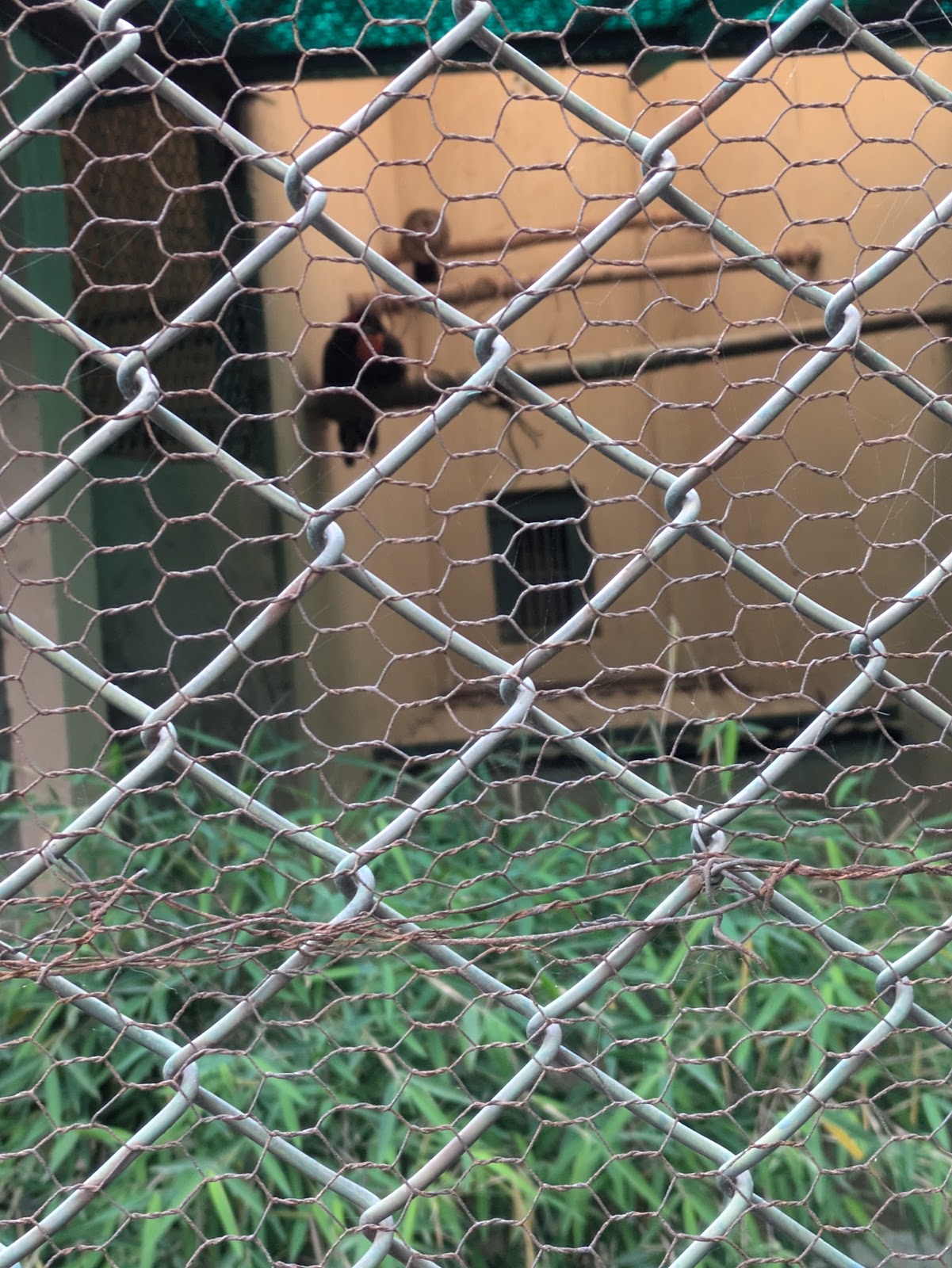 Himalayan Nature Park