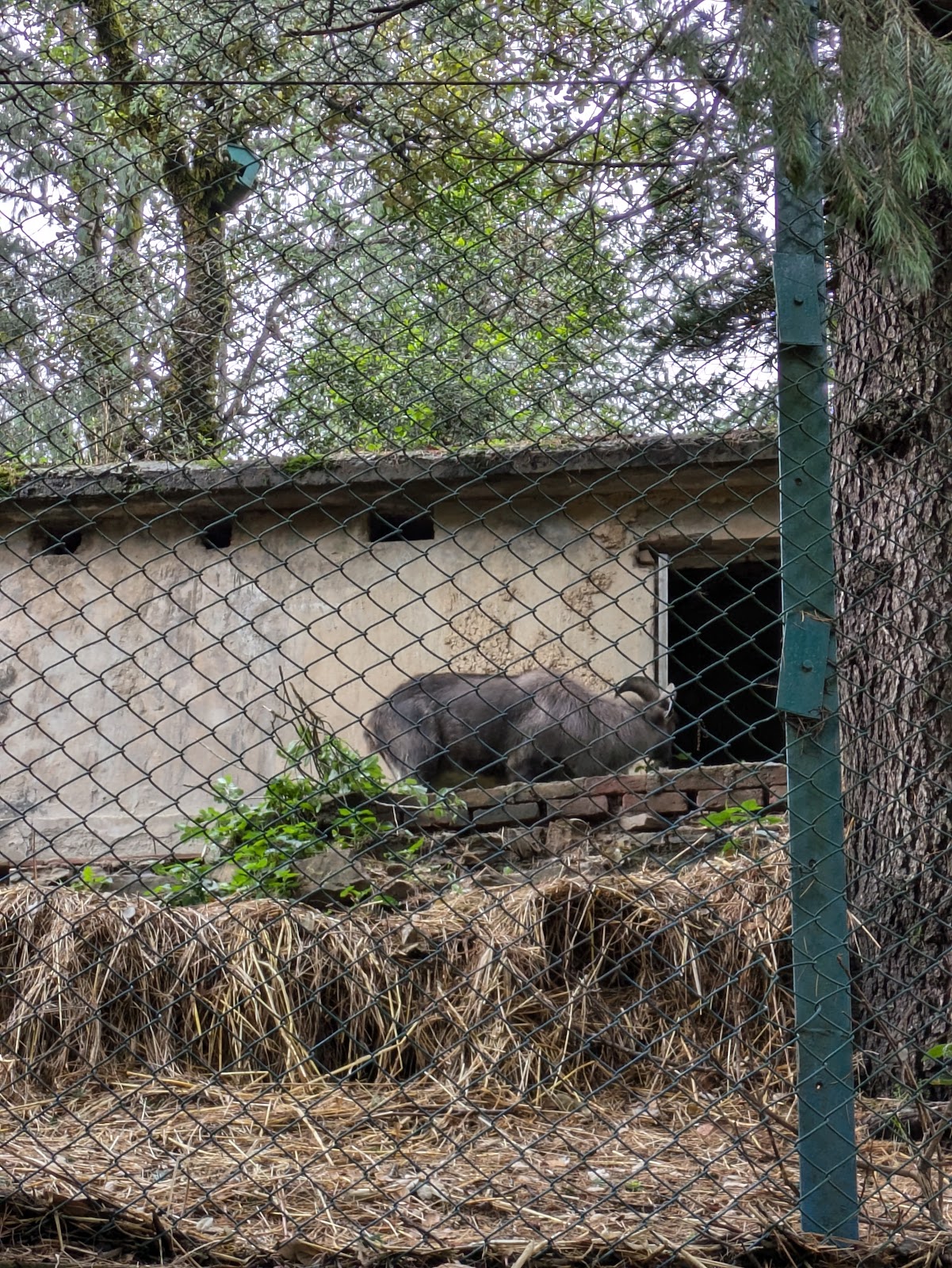 Himalayan Nature Park