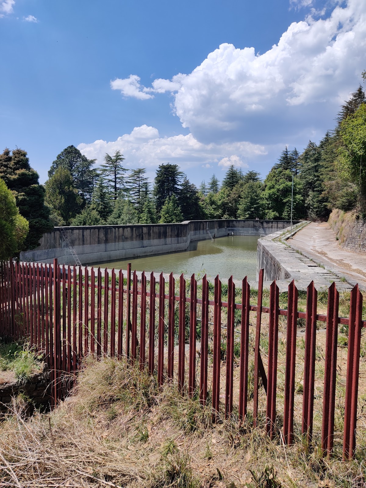 Mashobra Wildlife Sanctuary