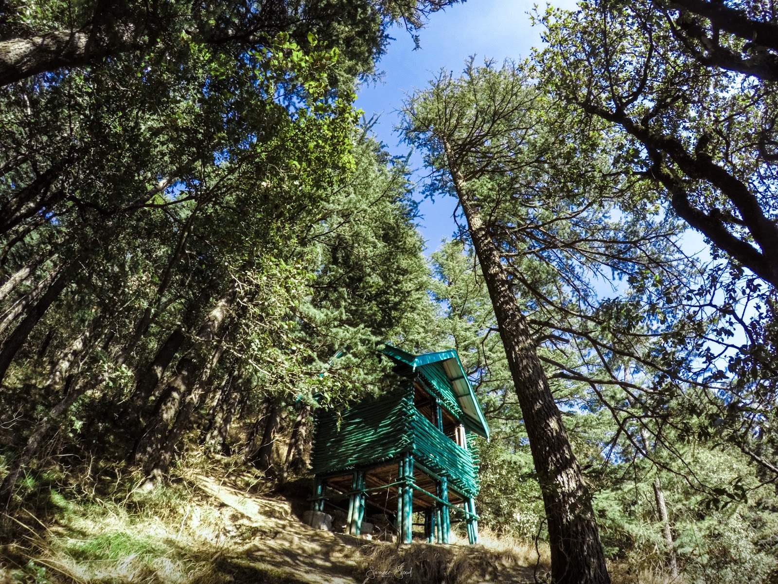 Mashobra Wildlife Sanctuary