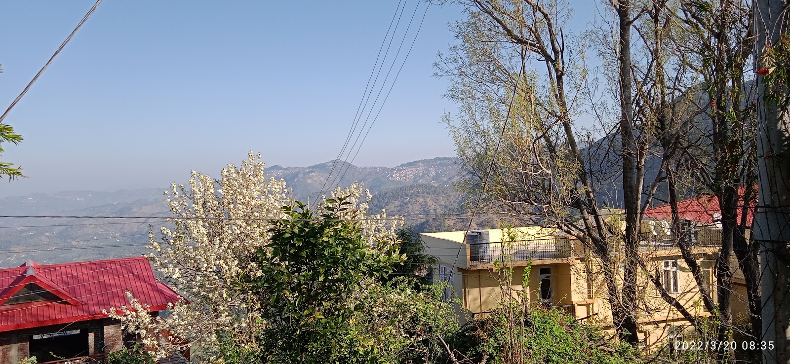 Shoghi