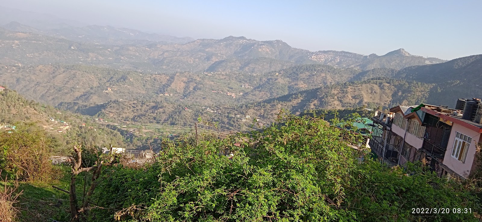 Shoghi