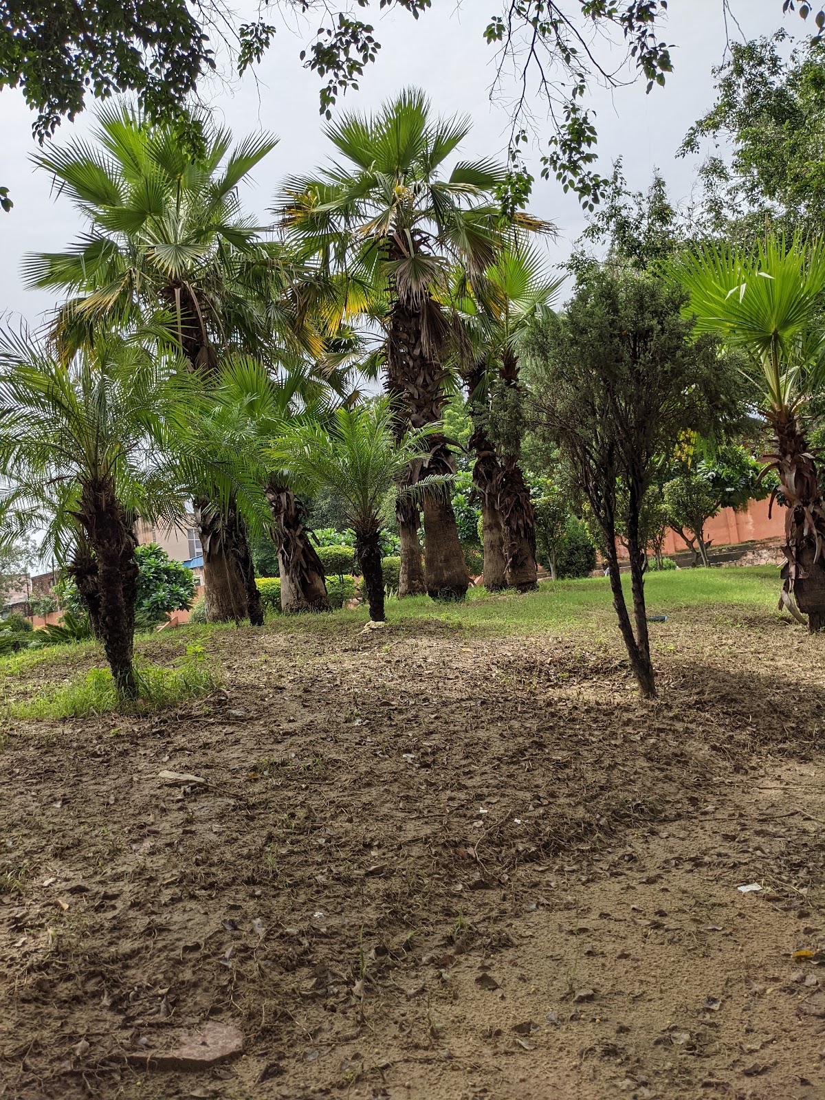 Suraj Kund Picnic Spot