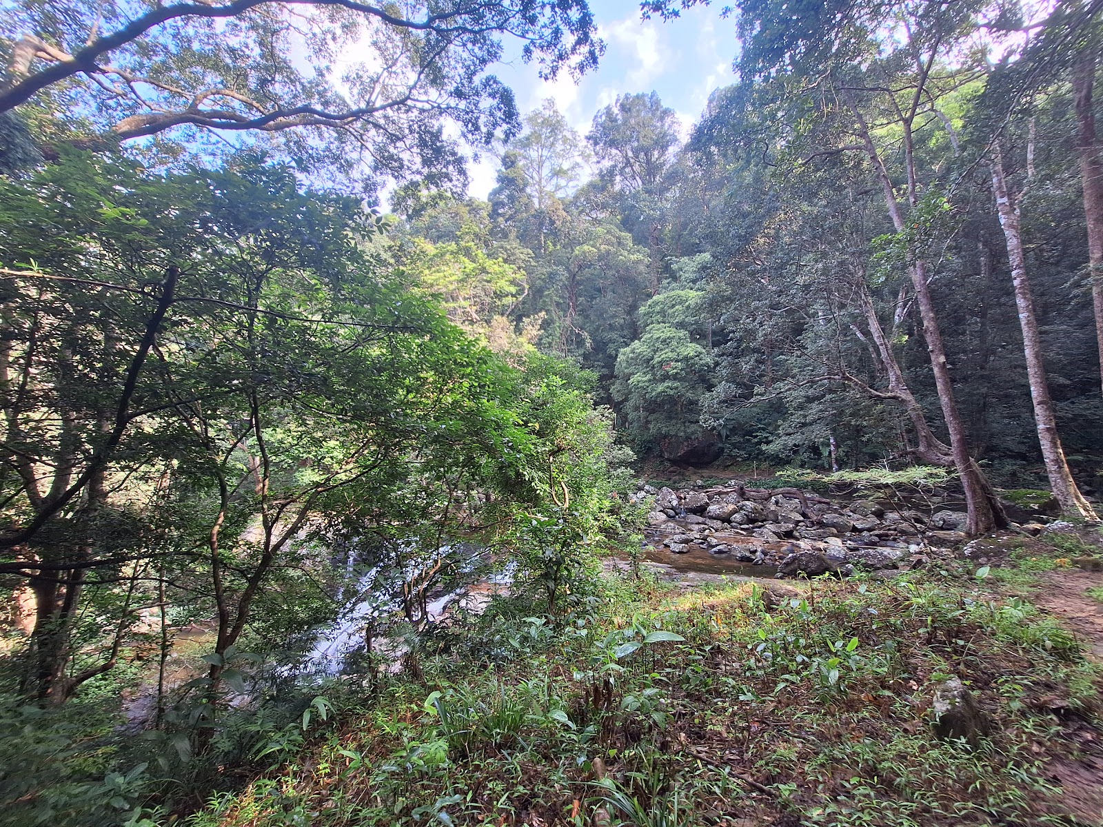 Agasthyakoodam