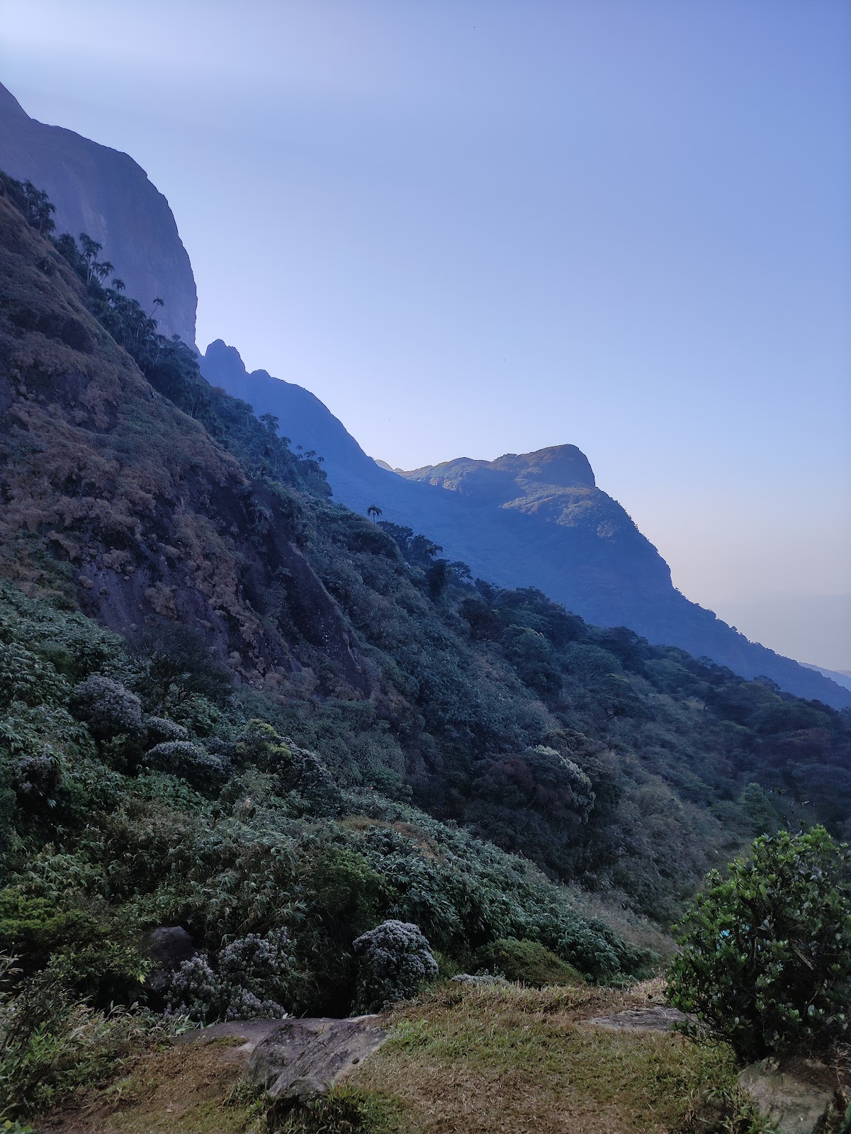 Agasthyakoodam