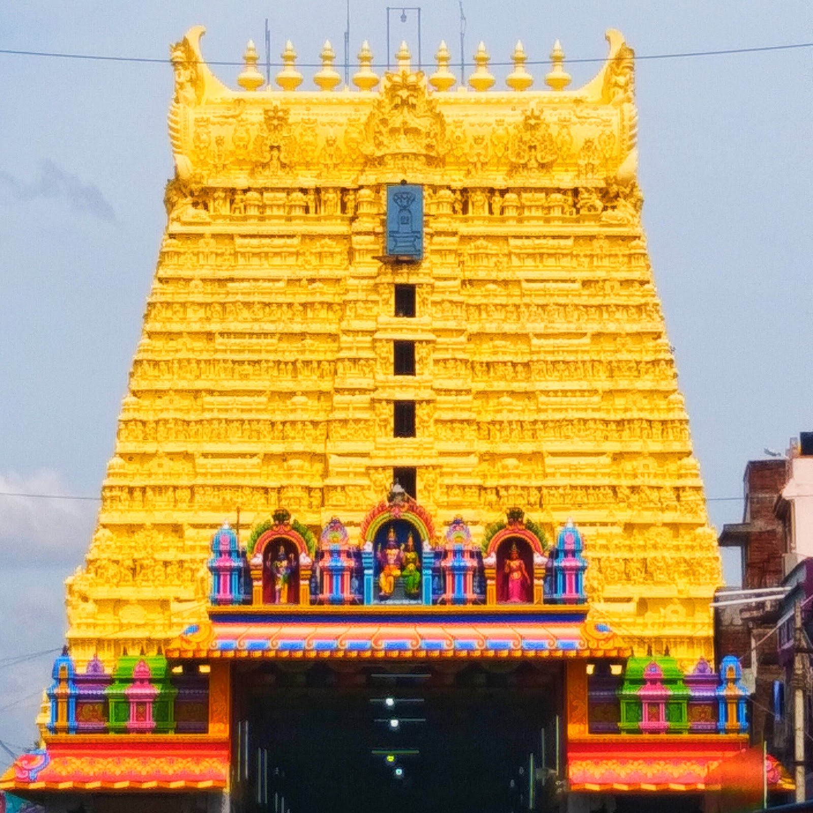 Sankaranarayanar Temple