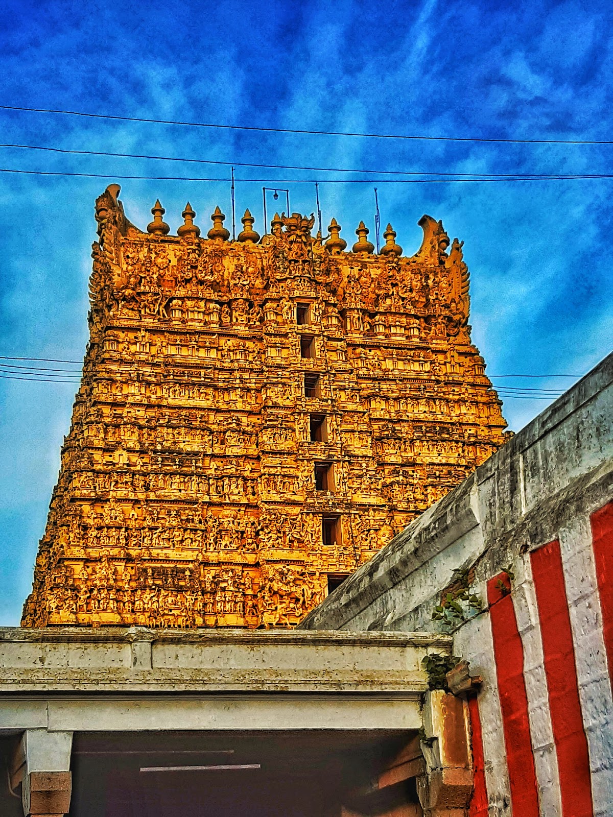 Sankaranarayanar Temple
