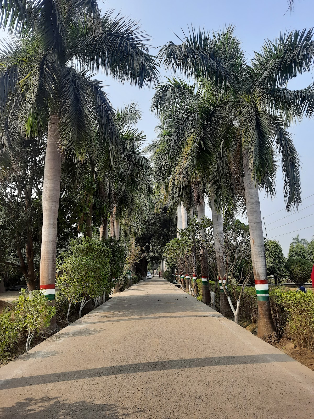 Mau Botanical Garden