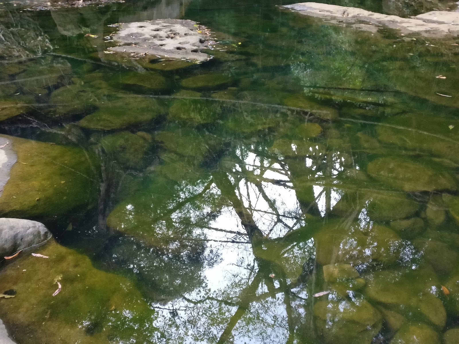 Mawlynnong Village Tour